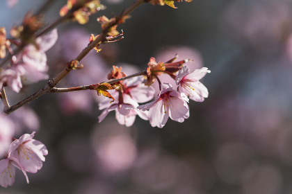 鑫沙娱乐城：探索多元化娱乐体验的理想选择