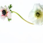 金鑫娱乐平台:为您带来丰富多彩的游戏选择与乐趣 7n7ozf