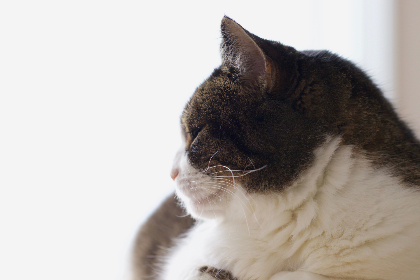 钱柜qg111官网全面解读：入口导航、注册开户与新用户优惠