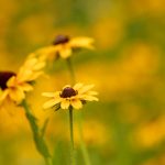 CSGO实时比分直播:全球顶尖赛事即刻掌握 u7kpnpo