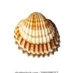 DLT彩票最新开奖结果与中奖号码查询 v5xd4