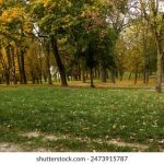 dsj直播精彩瞬间:不容错过的视听盛宴 xy12sus8a9