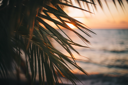 集美平台的优势与挑战:未来电商发展的新趋势