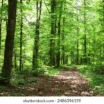 阳光在线娱乐客户端一站式娱乐生态构建与升级方案 jnpt47qrz0